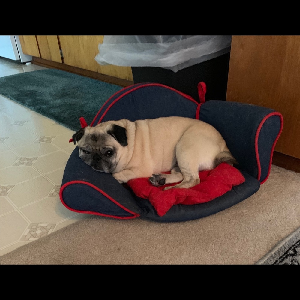 Meet your Posher, Alexander